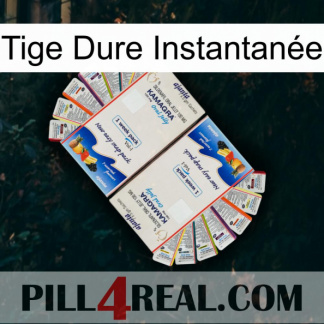 Tige Dure Instantanée kamagra1